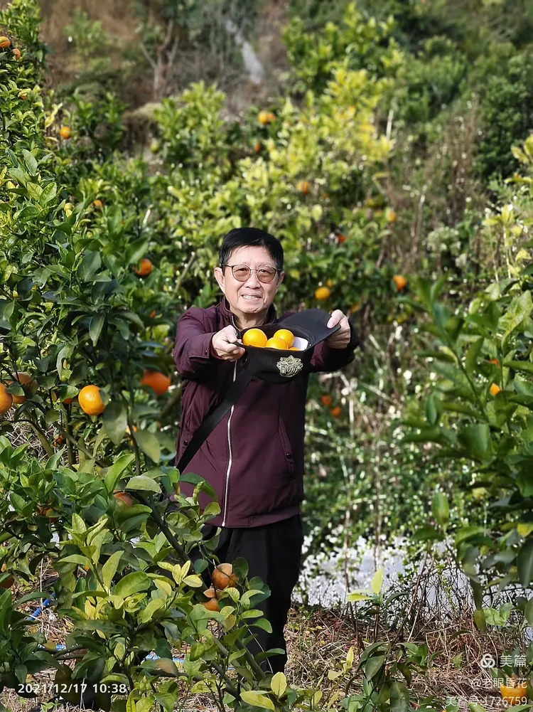 摘🍊的时候，——还能挣600工分否